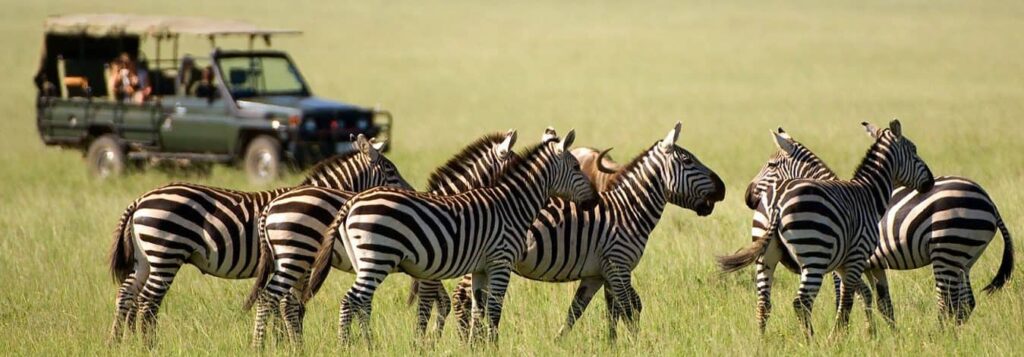 17 Days Best of Kenya safari
