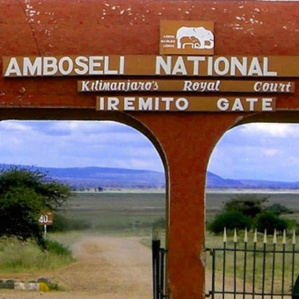Self Drive in Amboseli National Park