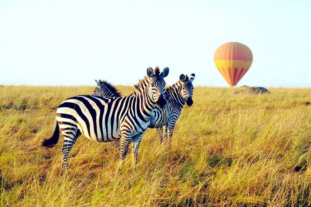 Bonita-on-safari-Maasai-Mara-5