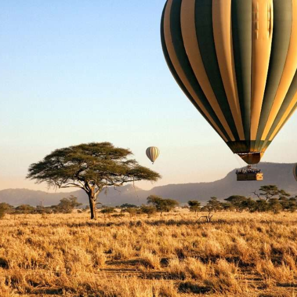 Hot air ballon safari in Maasai Mara - your drive kenya
