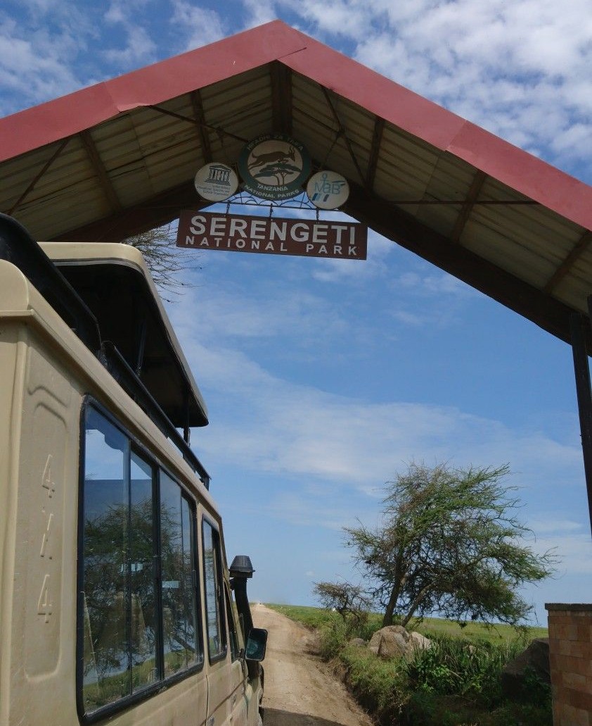 Seregenti - self drive to Serengeti - self drive in East Africa - Affordable car rental in Uganda, Kenya and Rwanda