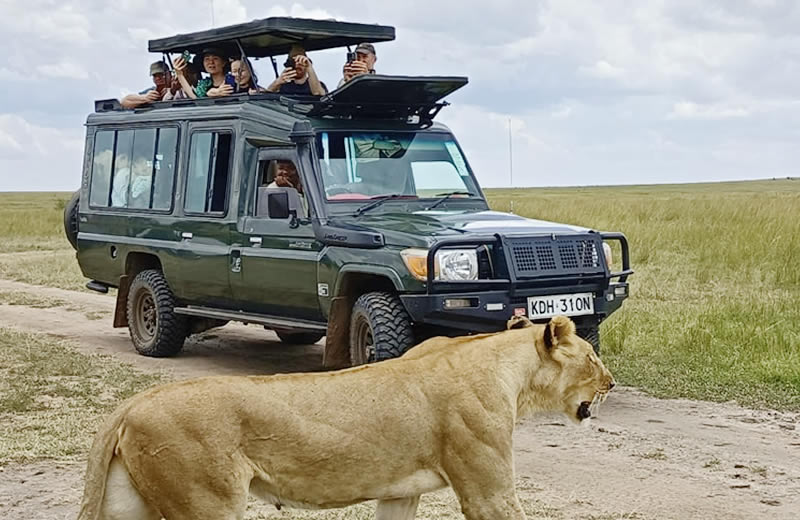 15 days Kenya wildlife