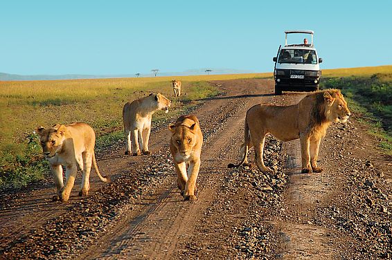 Tsavo National Park
